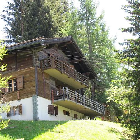 Chalet Nouchka Verb120 Villa Verbier Ngoại thất bức ảnh